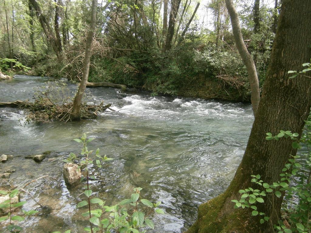 Gite Valescure Saint-Michel-de-Dèze Екстериор снимка